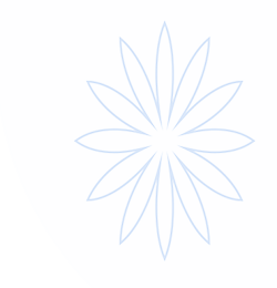 开云(kaiyun)官方网站-汇聚多元热门娱乐互动内容